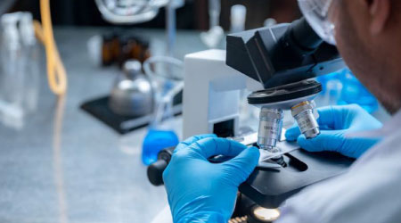 Life Sciences